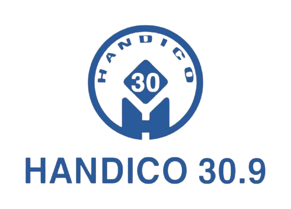 Handico 30.9